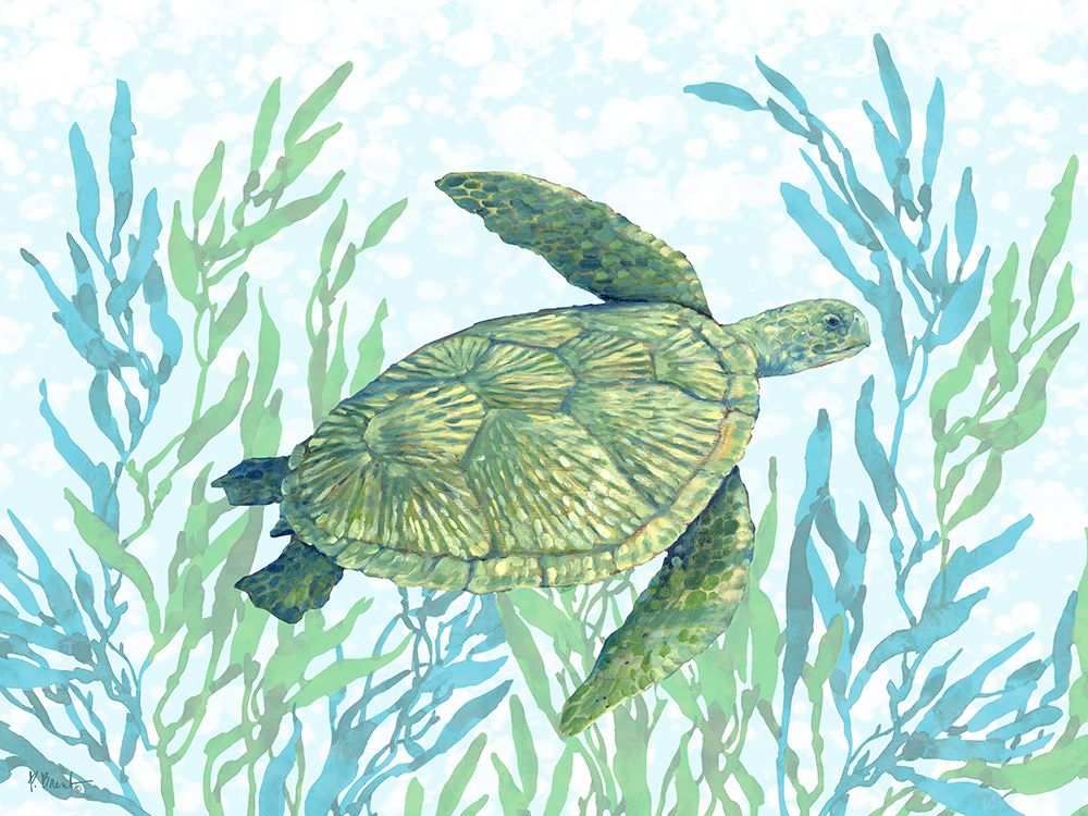 Tasman Turtle I art print by Paul Brent for $57.95 CAD