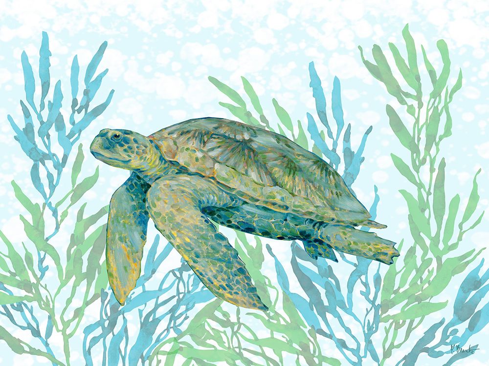 Tasman Turtle II art print by Paul Brent for $57.95 CAD