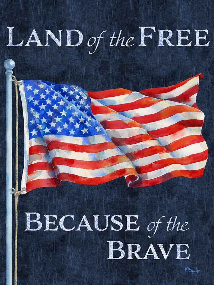 Land of the Free Flag art print by Paul Brent for $57.95 CAD