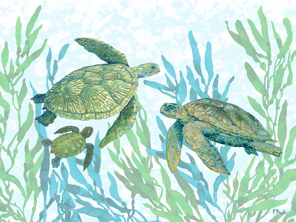 Tasman Turtle Trio art print by Paul Brent for $57.95 CAD
