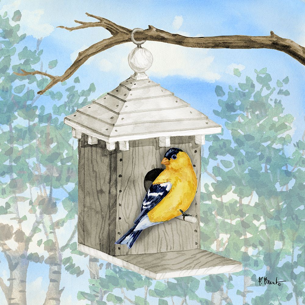 Hanging Bird House II art print by Paul Brent for $57.95 CAD