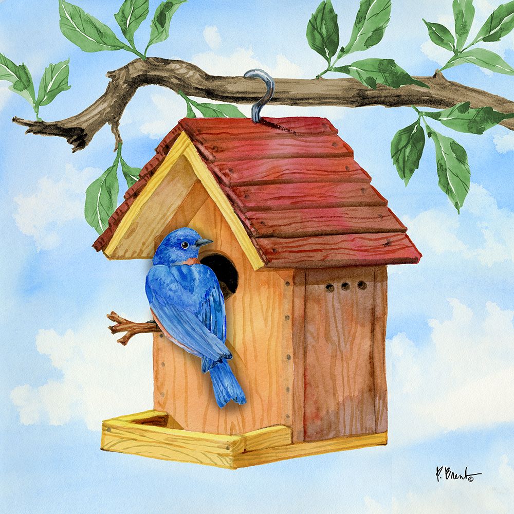 Hanging Bird House III ΓÇô Colorful art print by Paul Brent for $57.95 CAD