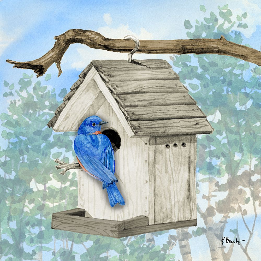 Hanging Bird House III art print by Paul Brent for $57.95 CAD