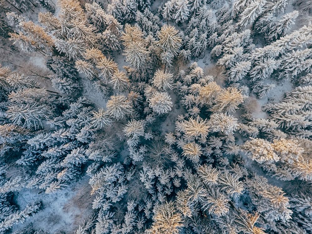 Aerial 11 art print by Rachel Lee for $57.95 CAD