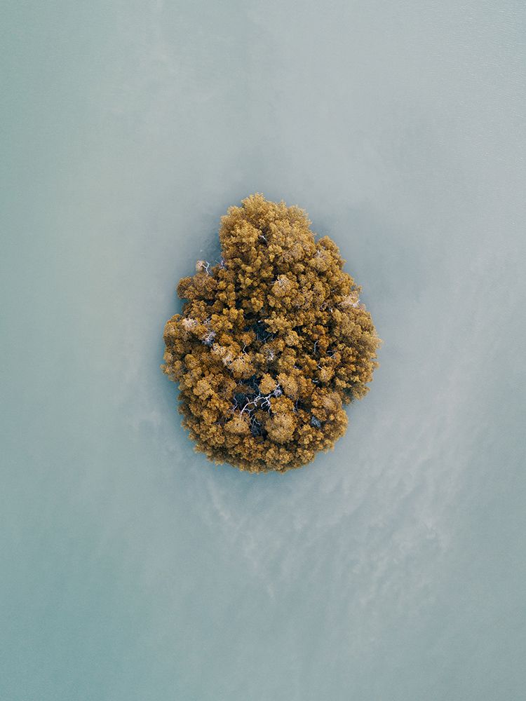 Aerial 13 art print by Rachel Lee for $57.95 CAD