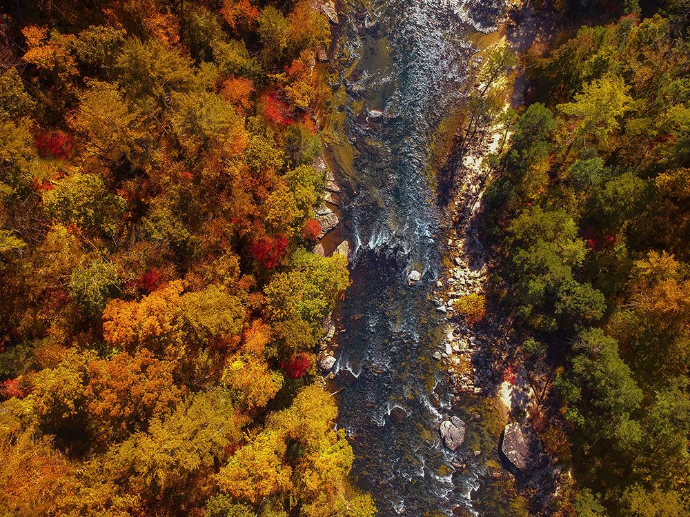 Aerial 14 art print by Rachel Lee for $57.95 CAD