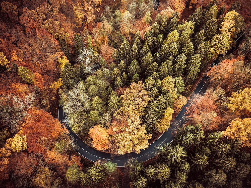 Aerial 15 art print by Rachel Lee for $57.95 CAD