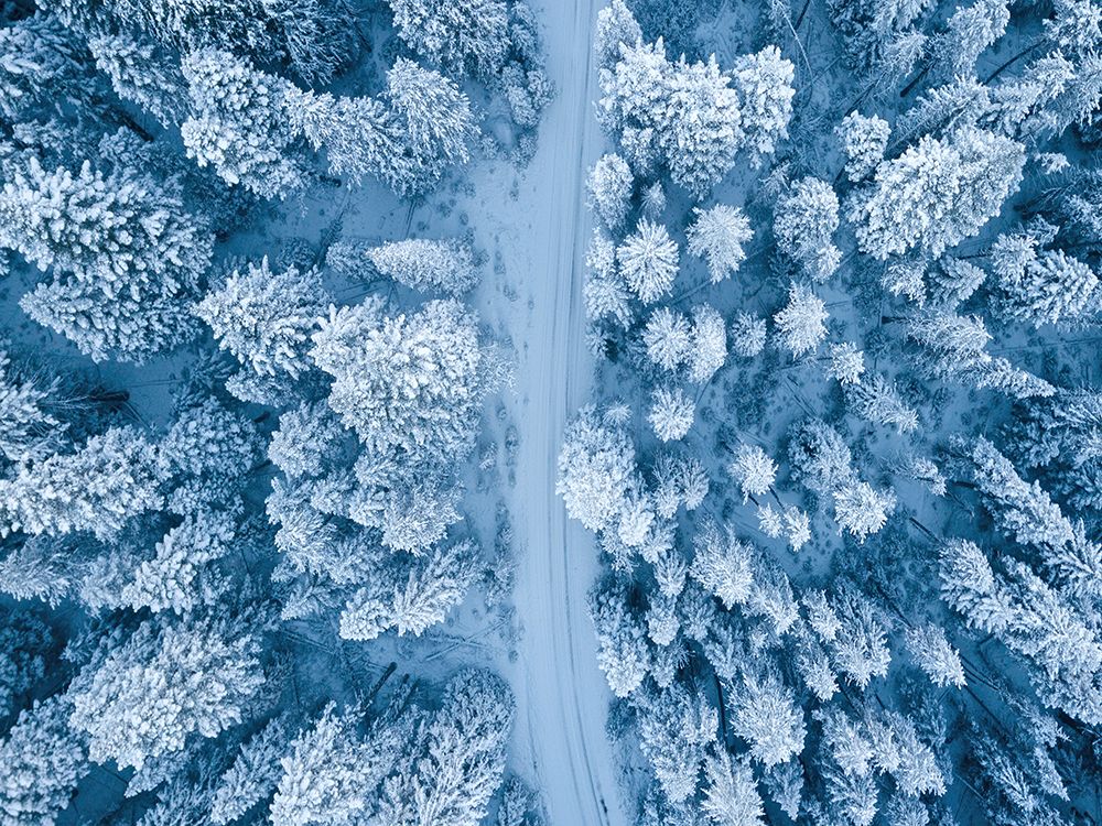Aerial 16 art print by Rachel Lee for $57.95 CAD