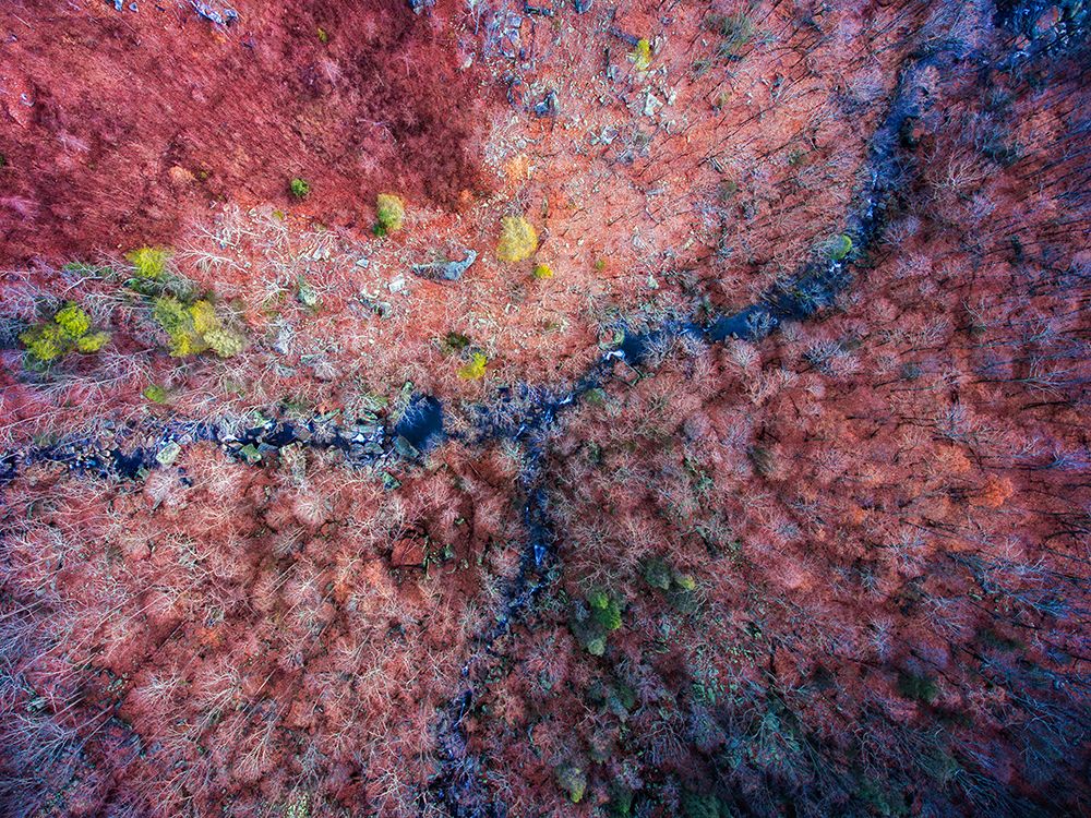 Aerial 2 art print by Rachel Lee for $57.95 CAD