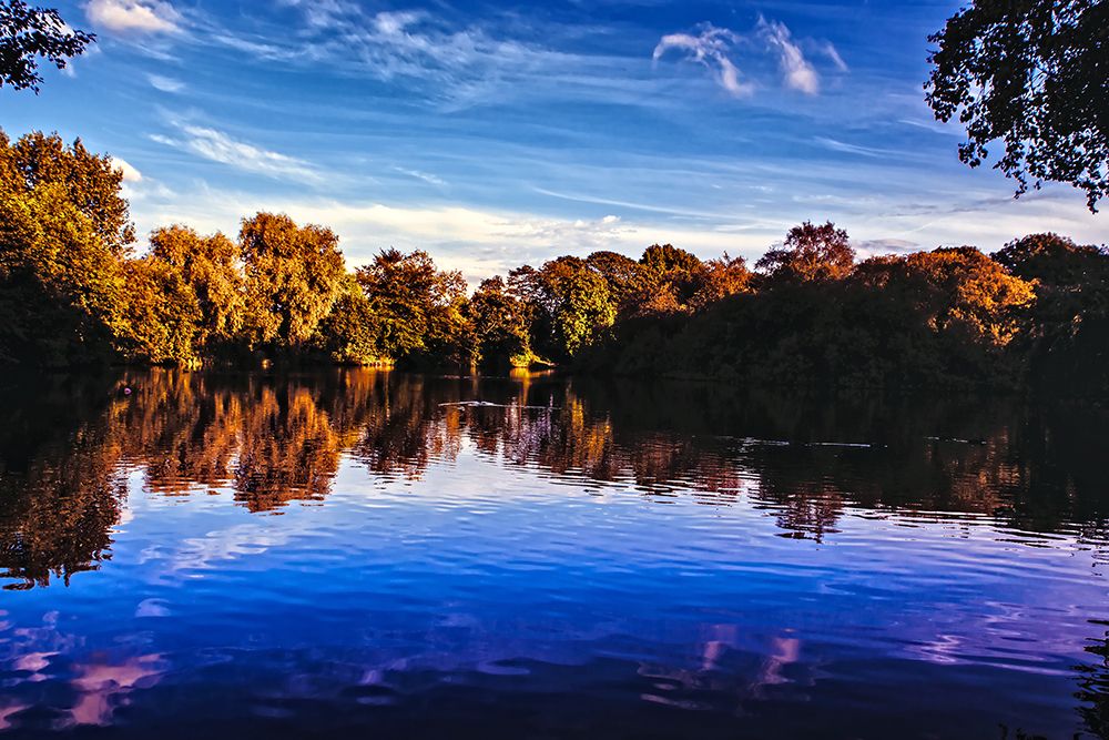 Afternoon Pond art print by Rachel Lee for $57.95 CAD