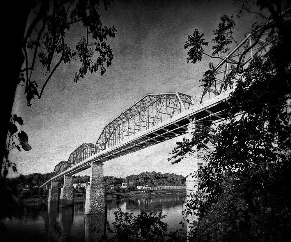 Afternoon Walnut BW art print by Rachel Lee for $57.95 CAD