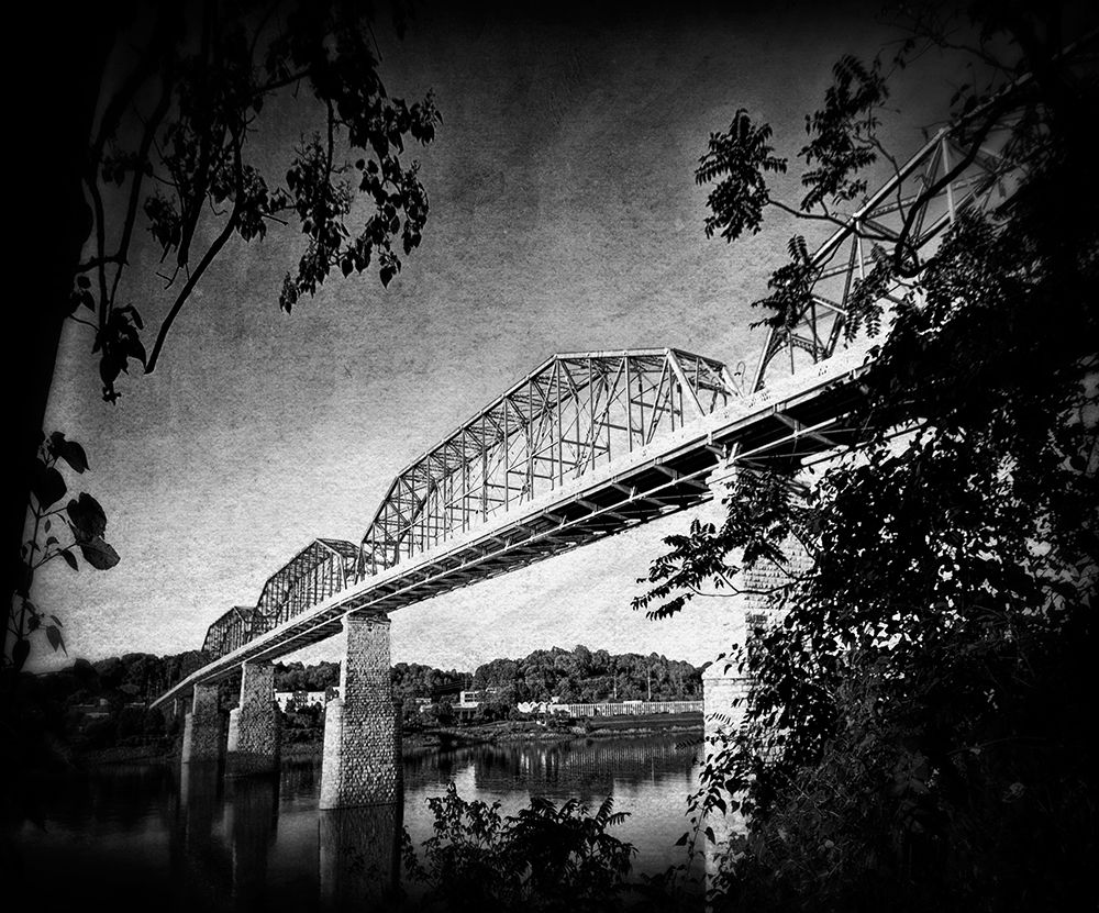 Afternoon Walnut BW Holga art print by Rachel Lee for $57.95 CAD