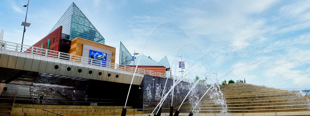 Aquarium Pano art print by Rachel Lee for $57.95 CAD