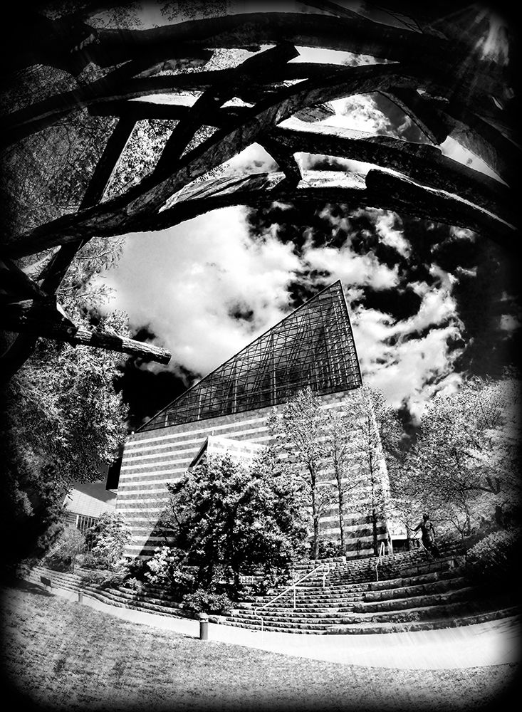 Aquarium Sun BW Holga art print by Rachel Lee for $57.95 CAD