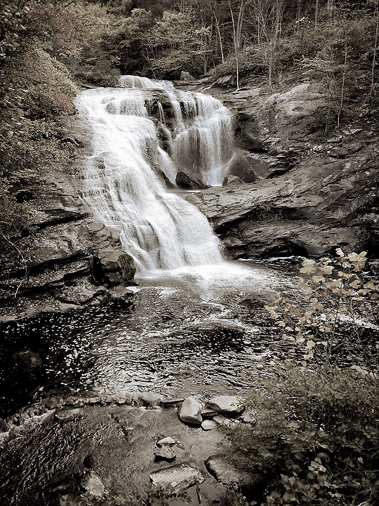 Bald River Falls Sepia art print by Rachel Lee for $57.95 CAD