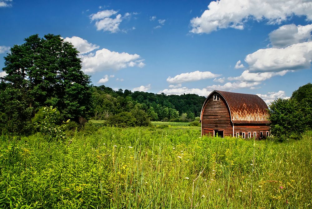 Barn 2 art print by Rachel Lee for $57.95 CAD