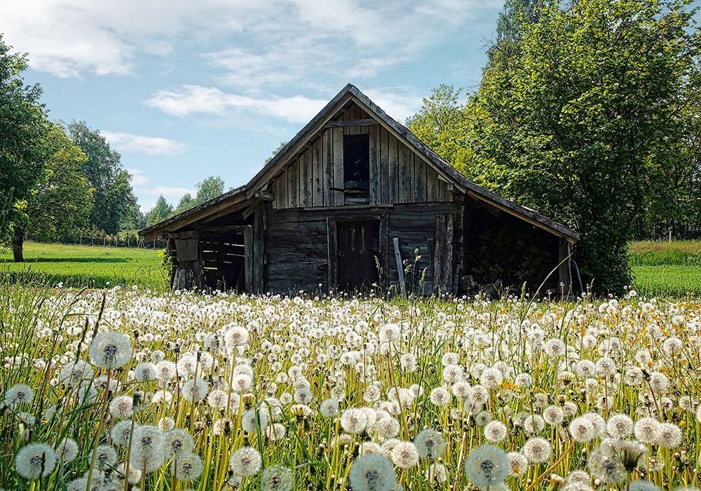 Barn 4 art print by Rachel Lee for $57.95 CAD