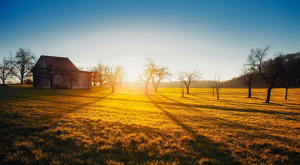Barn 5 art print by Rachel Lee for $57.95 CAD