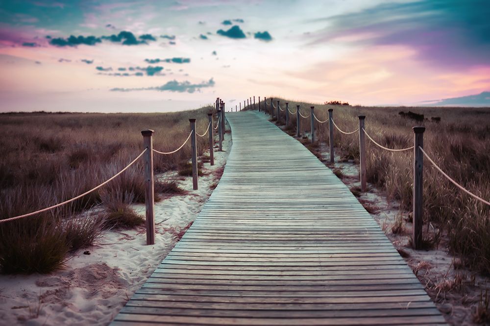 Beach 1 art print by Rachel Lee for $57.95 CAD