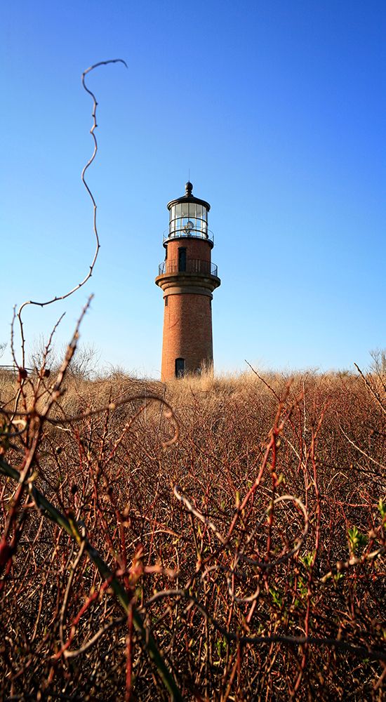 Beach 12 art print by Rachel Lee for $57.95 CAD