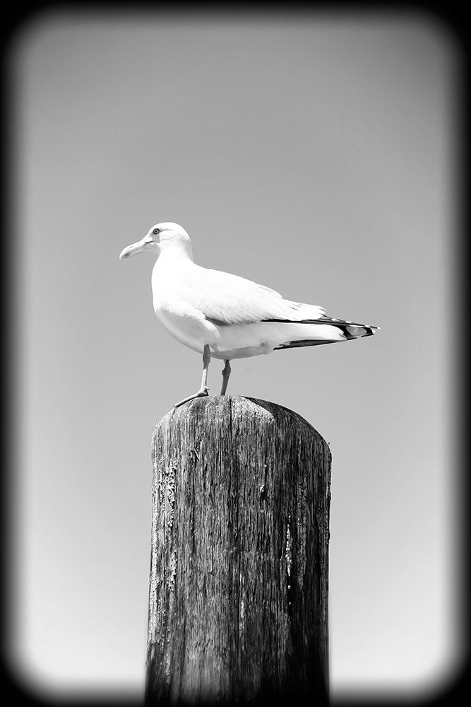 Beach 27 BW Holga art print by Rachel Lee for $57.95 CAD