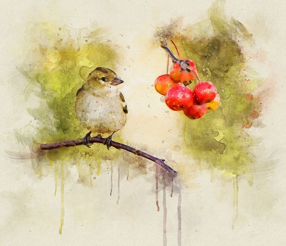 Bird 1 Watercolor art print by Rachel Lee for $57.95 CAD