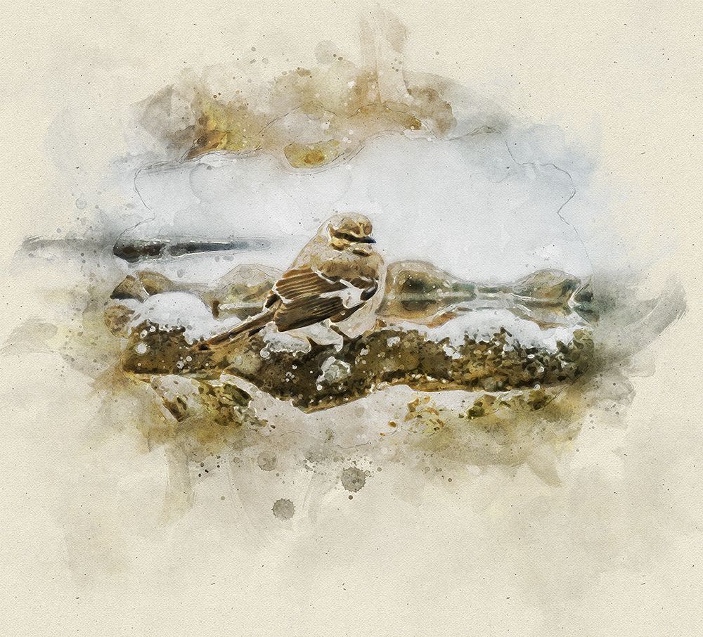 Bird 12 Watercolor art print by Rachel Lee for $57.95 CAD