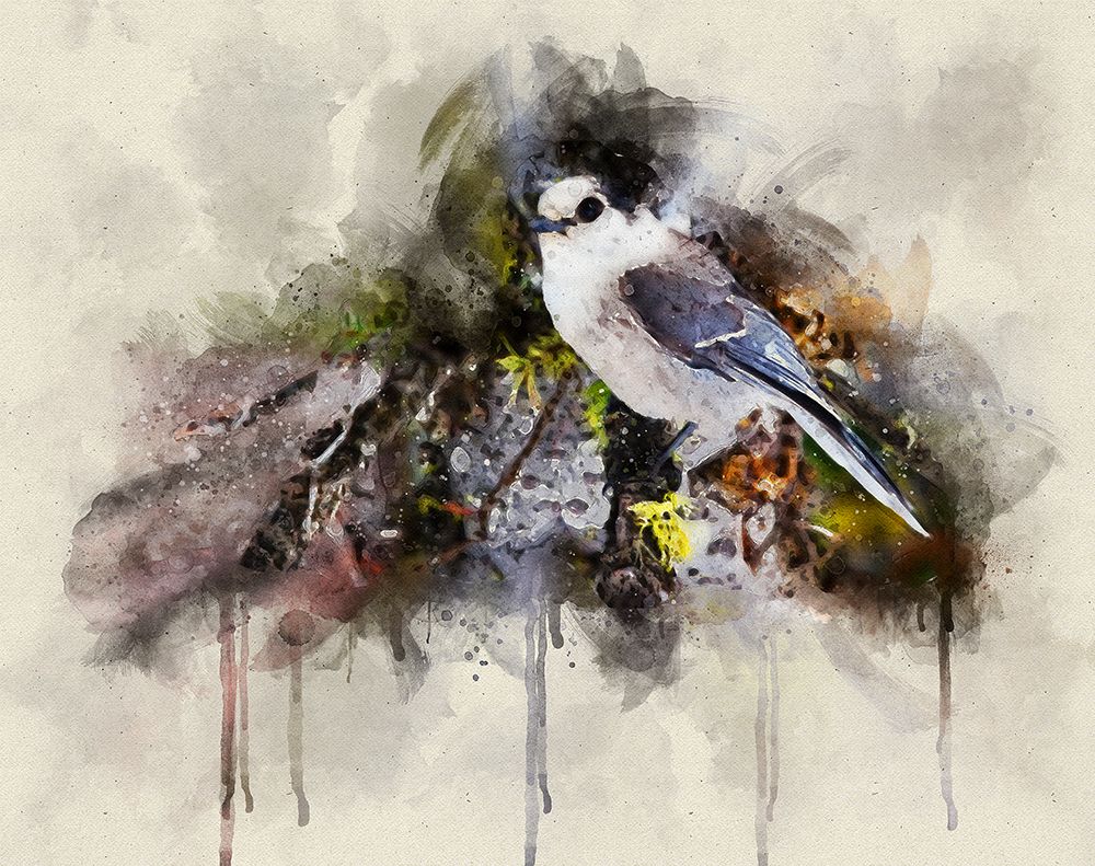 Bird 13 Watercolor art print by Rachel Lee for $57.95 CAD