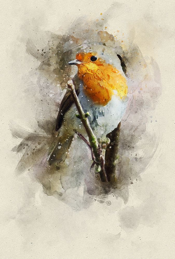 Bird 15 Watercolor art print by Rachel Lee for $57.95 CAD