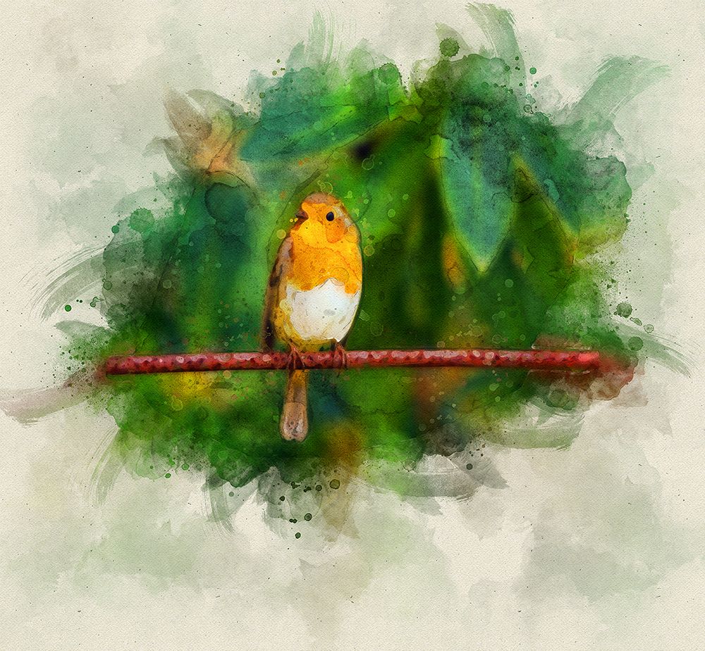 Bird 17 Watercolor art print by Rachel Lee for $57.95 CAD