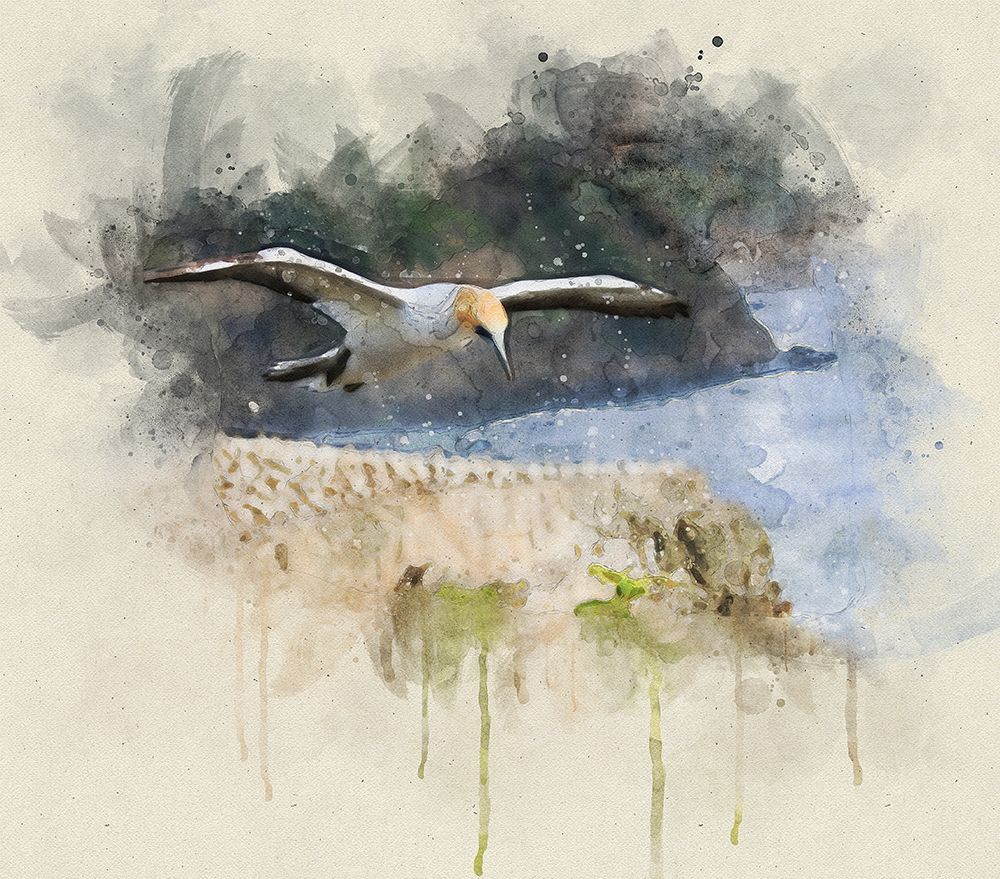 Bird 19 Watercolor art print by Rachel Lee for $57.95 CAD