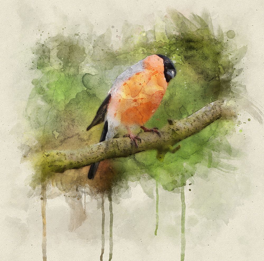 Bird 2 Watercolor art print by Rachel Lee for $57.95 CAD