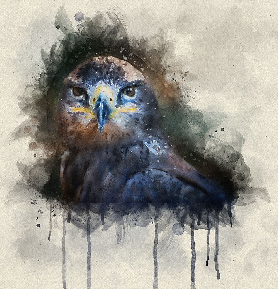 Bird 20 Watercolor art print by Rachel Lee for $57.95 CAD