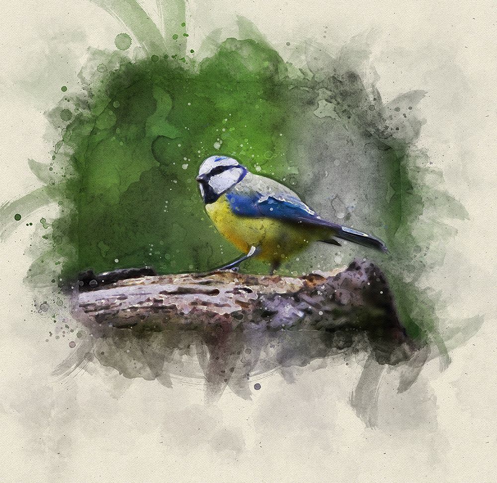 Bird 22 Watercolor art print by Rachel Lee for $57.95 CAD