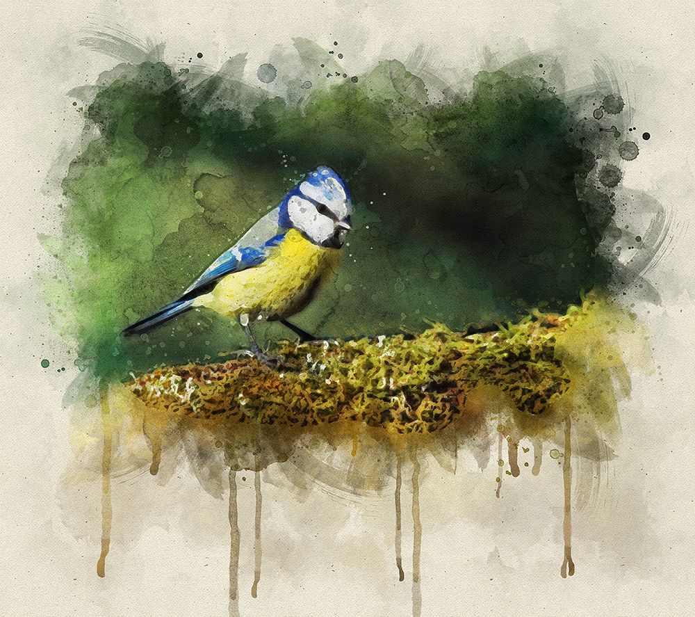 Bird 3 Watercolor art print by Rachel Lee for $57.95 CAD