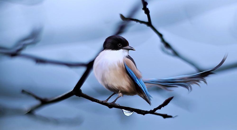 Bird 30 art print by Rachel Lee for $57.95 CAD
