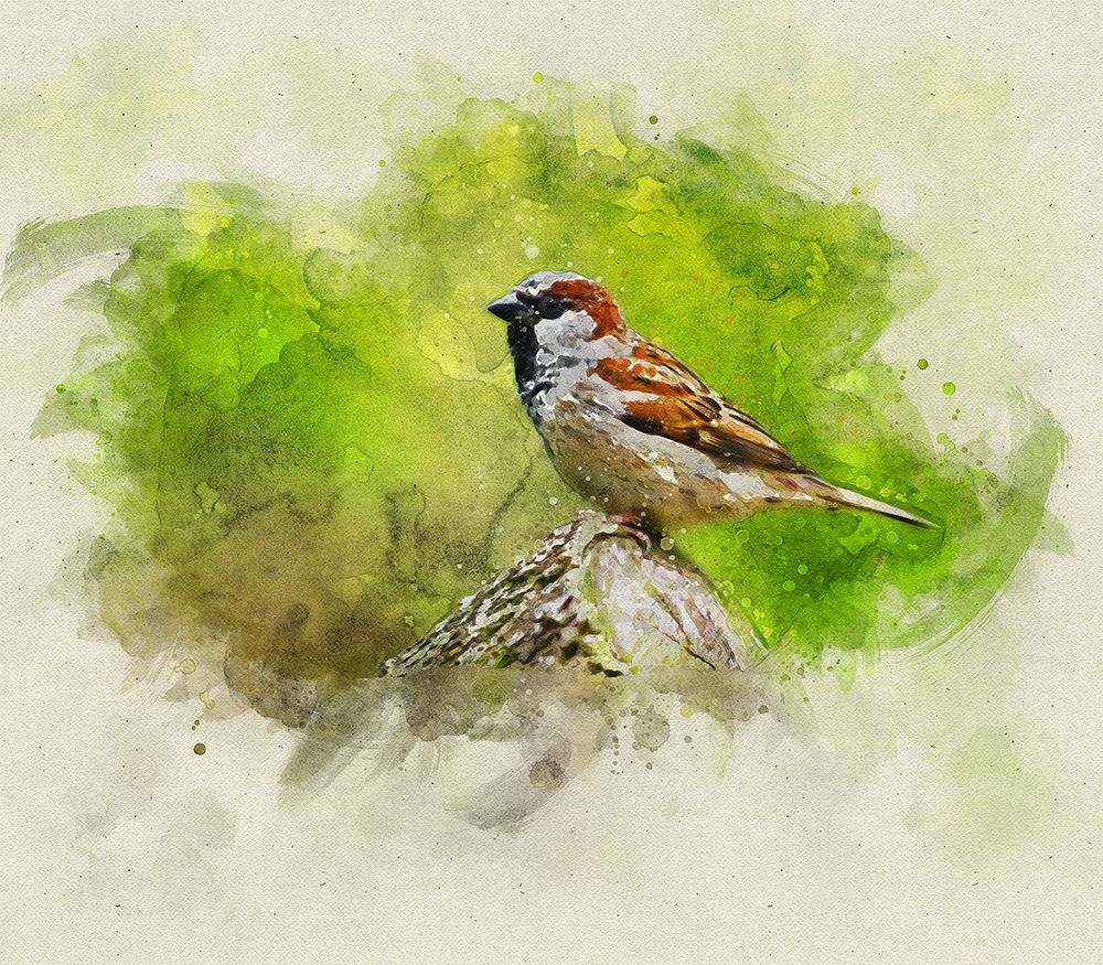 Bird 5 Watercolor art print by Rachel Lee for $57.95 CAD