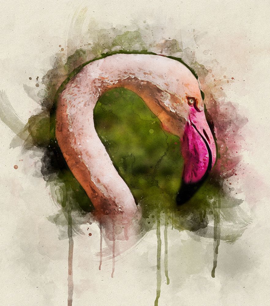 Bird 51 Watercolor art print by Rachel Lee for $57.95 CAD