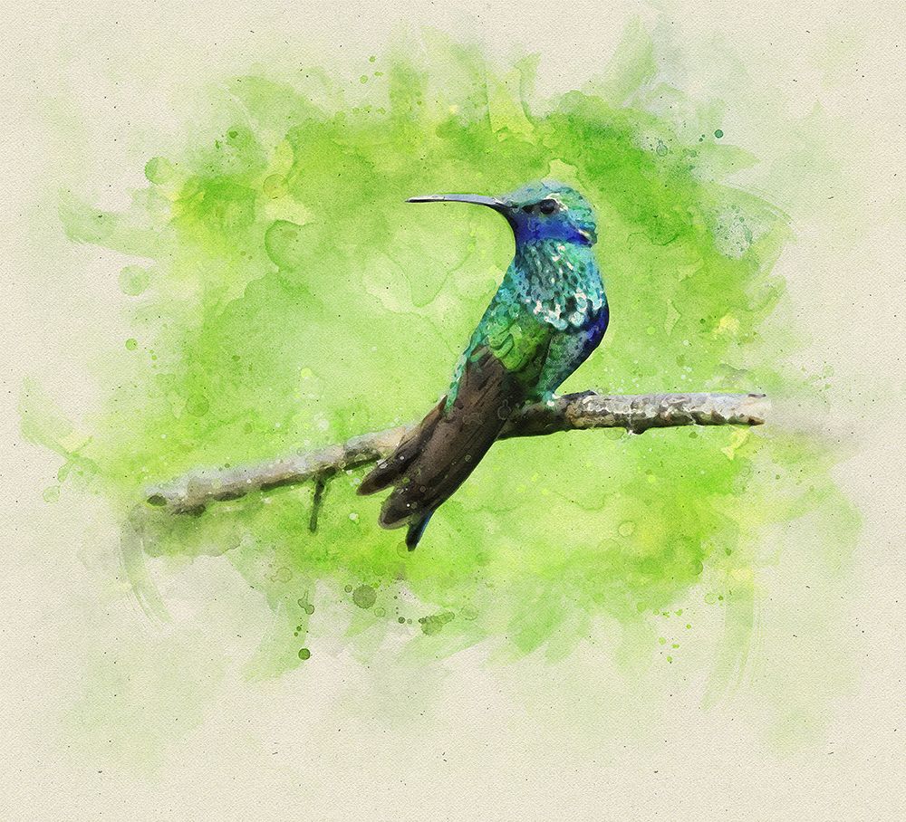 Bird 6 Watercolor art print by Rachel Lee for $57.95 CAD