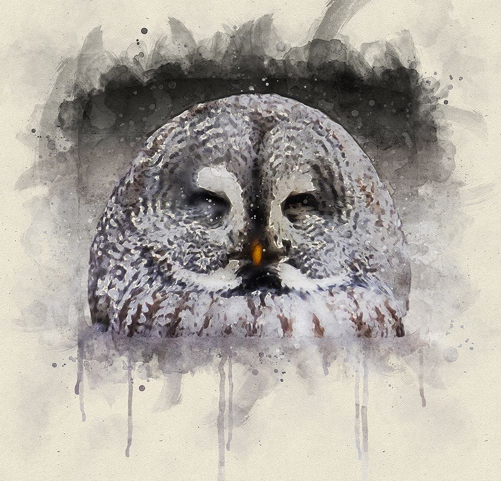 Bird 9 Watercolor art print by Rachel Lee for $57.95 CAD