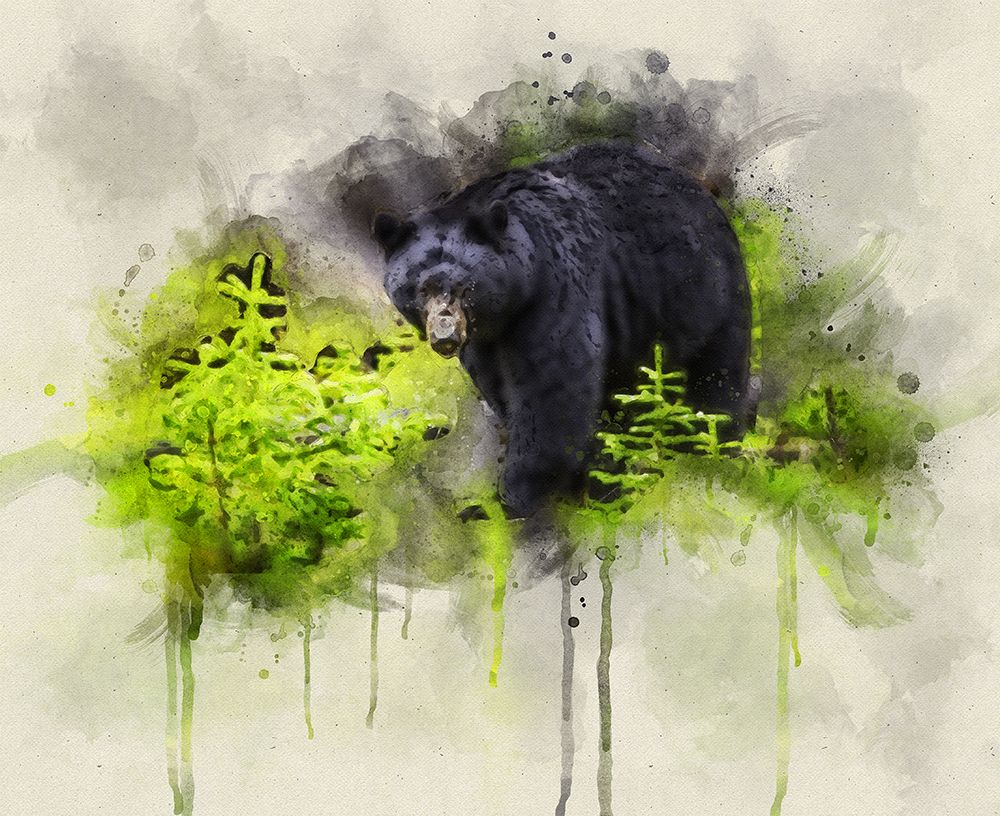 Black Bear Watercolor art print by Rachel Lee for $57.95 CAD