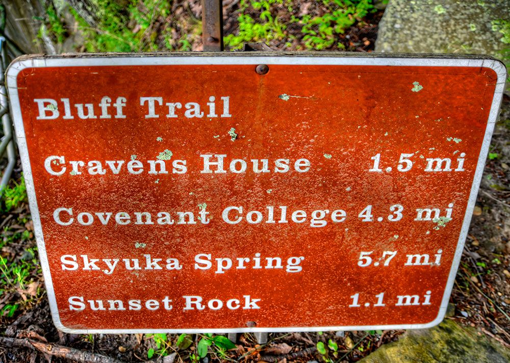 Bluff Trail Sign art print by Rachel Lee for $57.95 CAD
