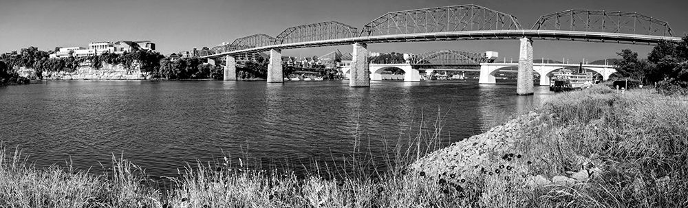 Bridge Poppies BW art print by Rachel Lee for $57.95 CAD