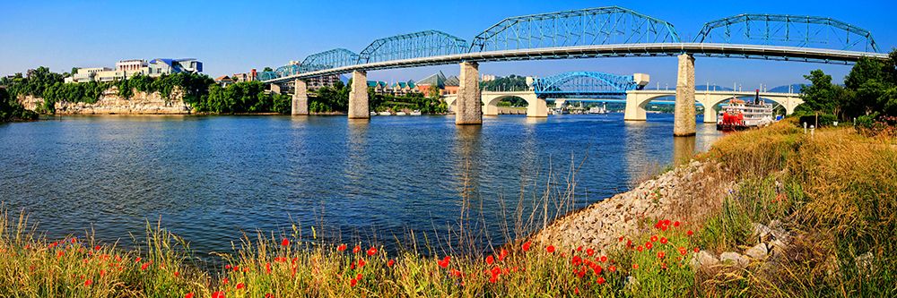 Bridge Poppies Color art print by Rachel Lee for $57.95 CAD