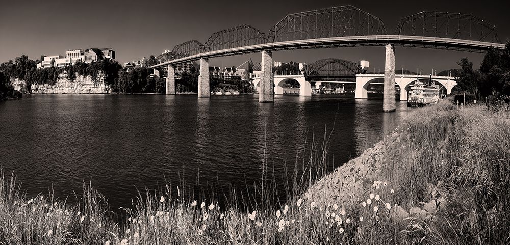Bridge Poppies Sepia art print by Rachel Lee for $57.95 CAD