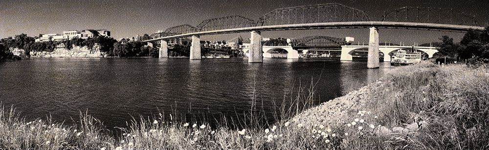 Bridge Poppies Sepia Crackle art print by Rachel Lee for $57.95 CAD