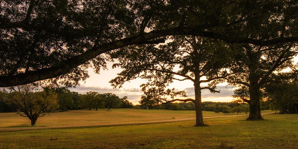 Chickamauga 16 art print by Rachel Lee for $57.95 CAD