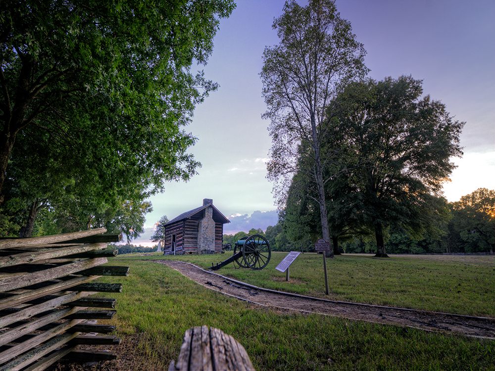 Chickamauga 4 art print by Rachel Lee for $57.95 CAD