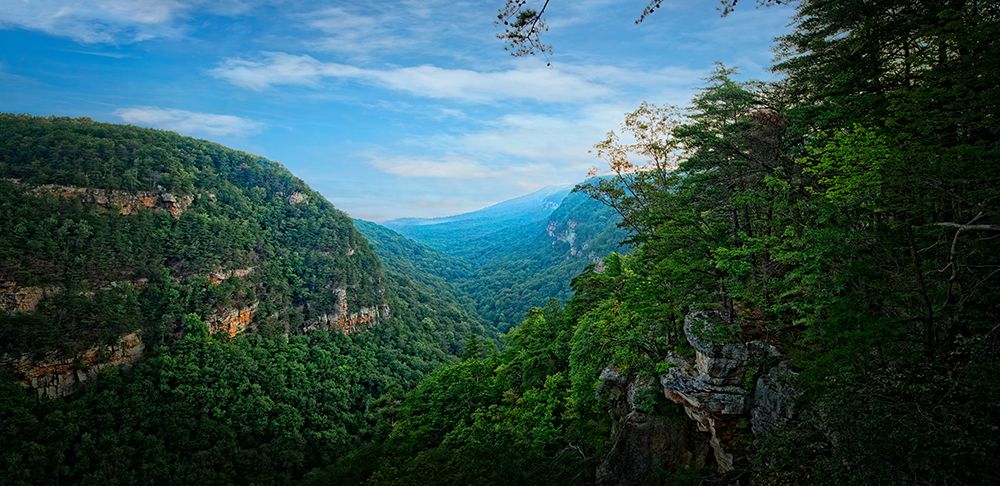 Cloudland Canyon art print by Rachel Lee for $57.95 CAD