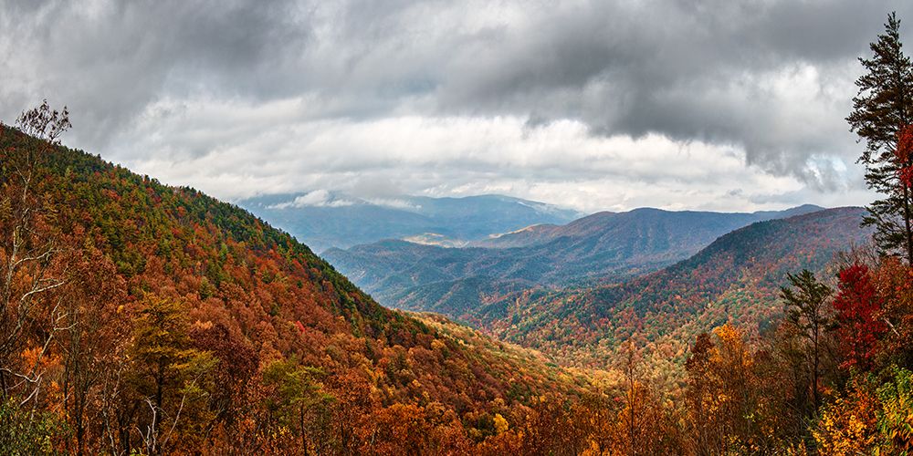 Cool Springs Overlook 2 art print by Rachel Lee for $57.95 CAD